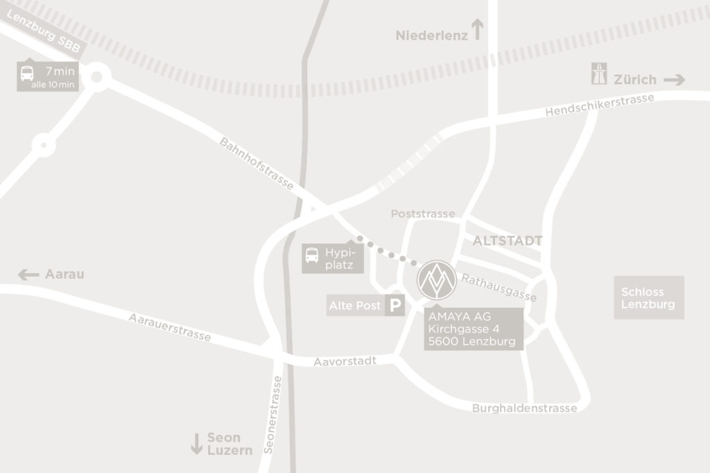 Situationsplan Lenzburg