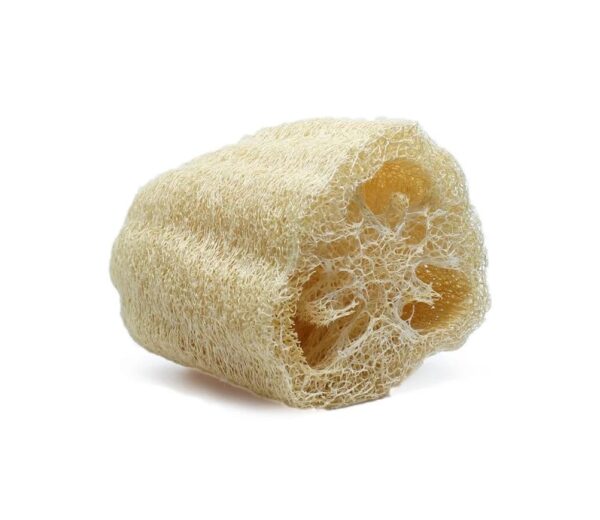 Curcubita-Luffa-Schwamm